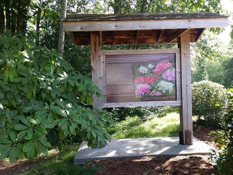 Rhododendron Memorial Park